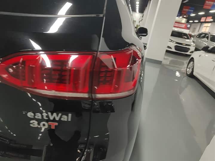 Фото 8 - Wey VV6