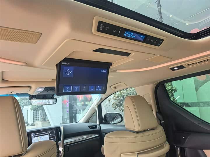 Фото 9 - Toyota Alphard