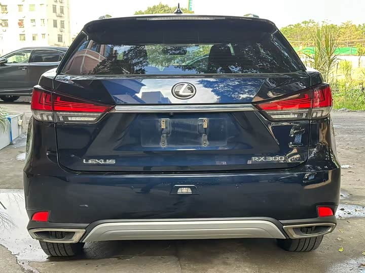 Фото 9 - Lexus RX