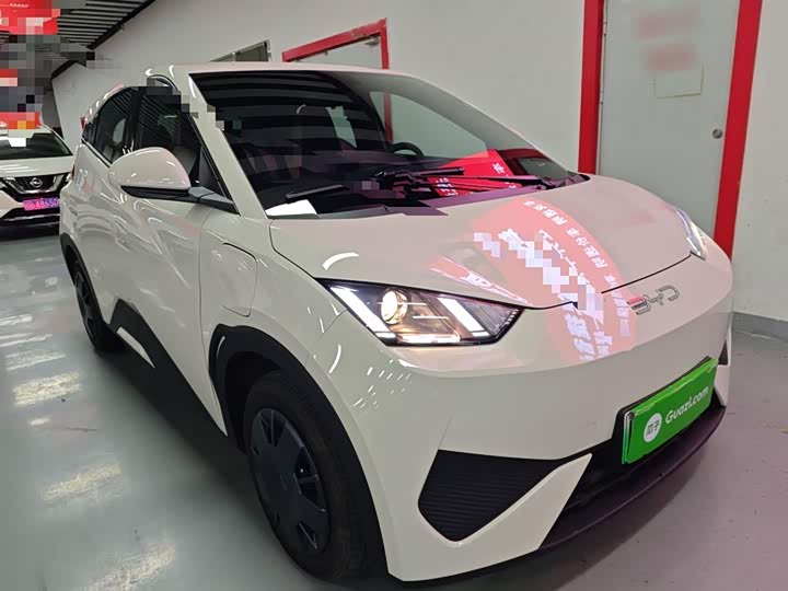 Фото 4 - BYD Seagull