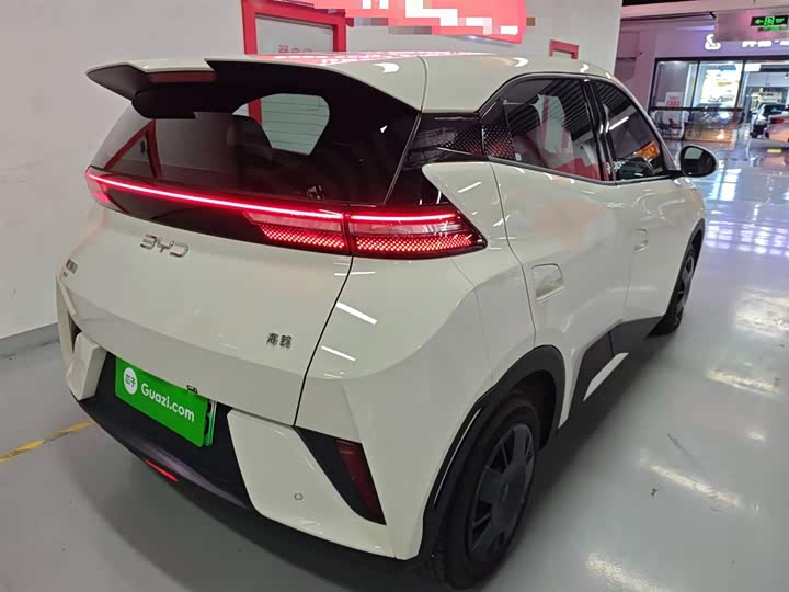 Фото 7 - BYD Seagull