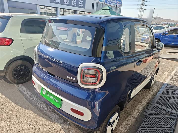 Фото 7 - Bestune Pony