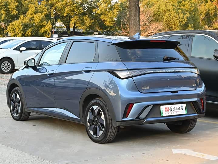 Фото 4 - BYD Dolphin