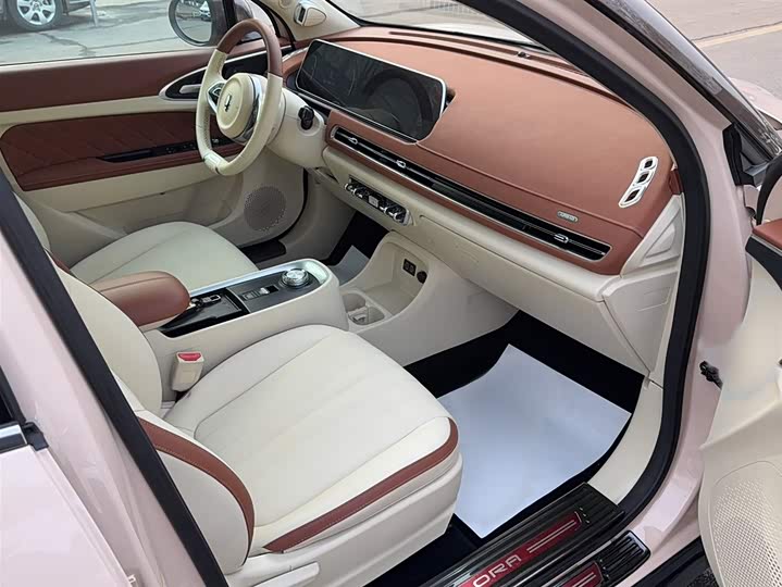 Фото 3 - Ora Good Cat (03)