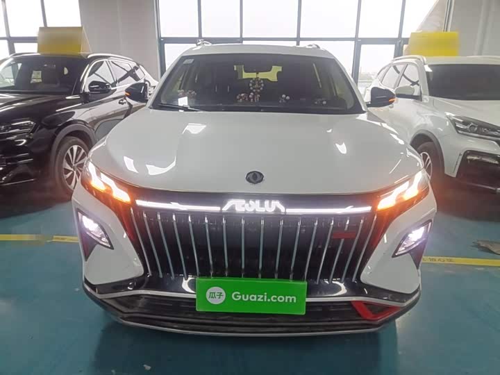 Фото 3 - Dongfeng Aeolus Haoji