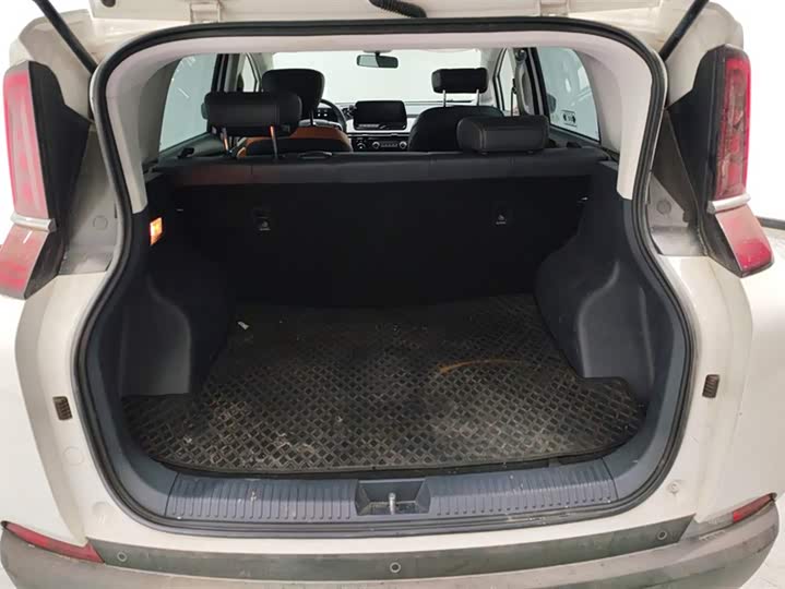 Фото 4 - Bestune NAT