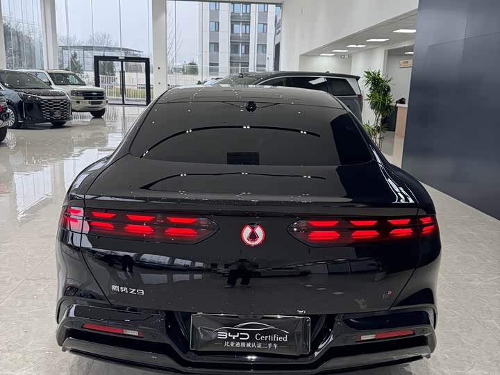 Фото 8 - Denza Z9