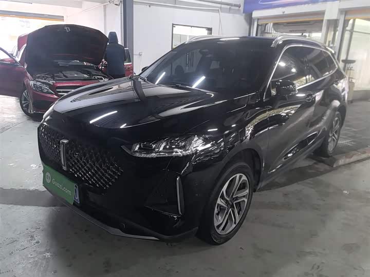 Фото 2 - Wey Macchiato DHT