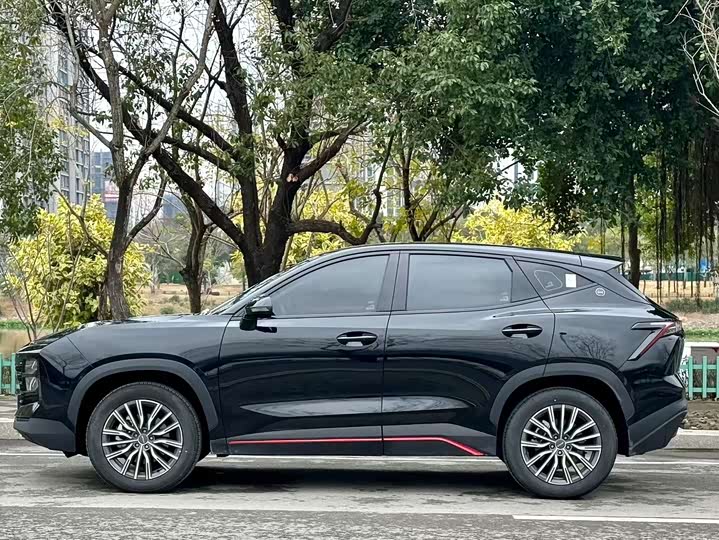 Фото 3 - Jetour Dashing