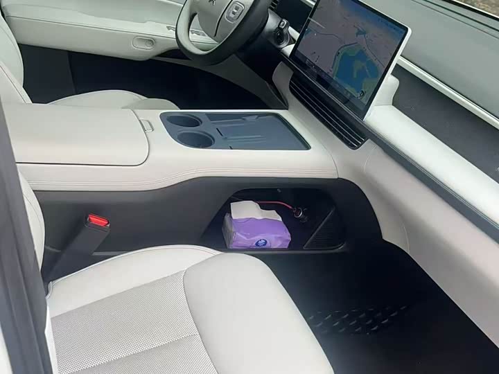 Фото 6 - XPeng G6