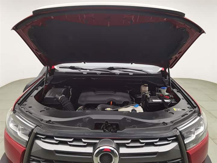 Фото 6 - Great Wall Pao