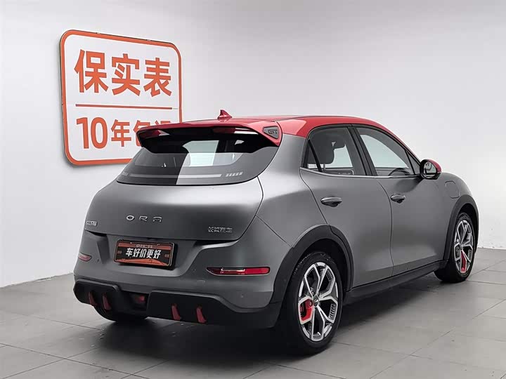 Фото 2 - Ora Good Cat GT (03 GT)