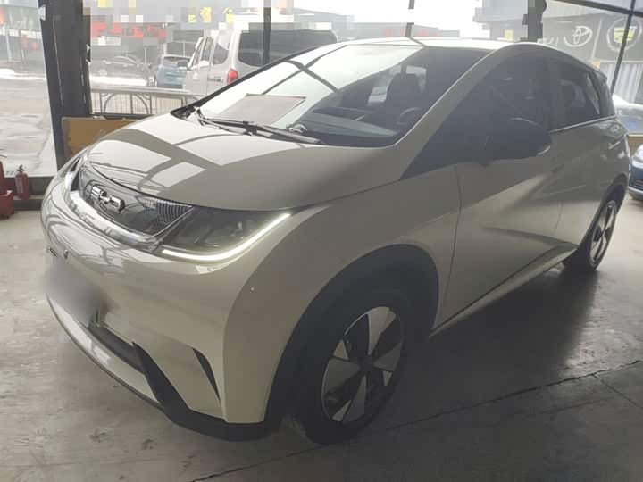 Фото 2 - BYD Dolphin