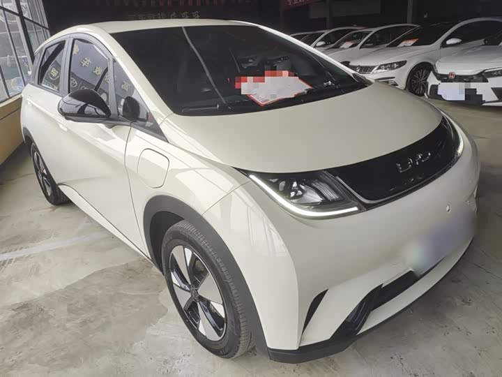 Фото 4 - BYD Dolphin