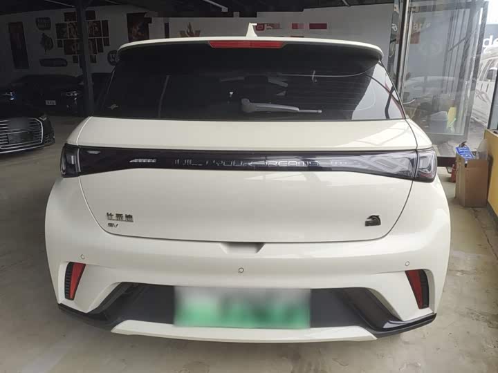 Фото 6 - BYD Dolphin