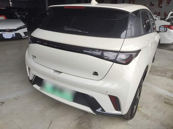 Фото 7 - BYD Dolphin