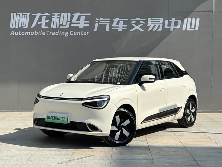 Фото 1 - Dongfeng Nammi 01