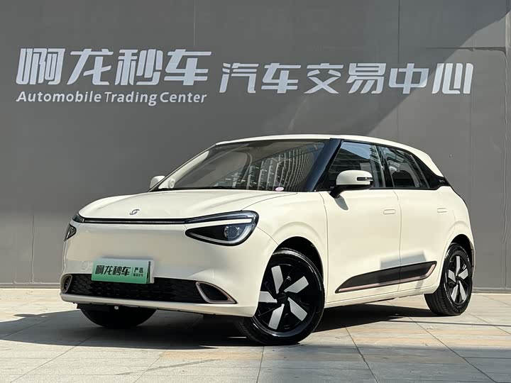 Фото 2 - Dongfeng Nammi 01