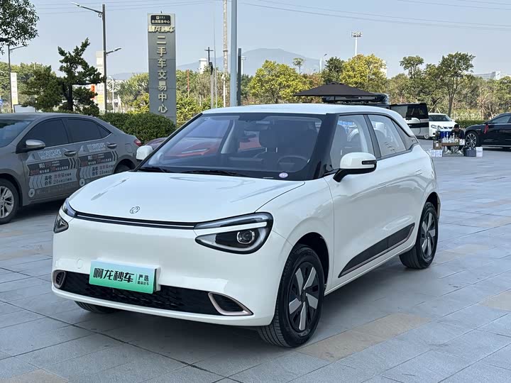 Фото 3 - Dongfeng Nammi 01