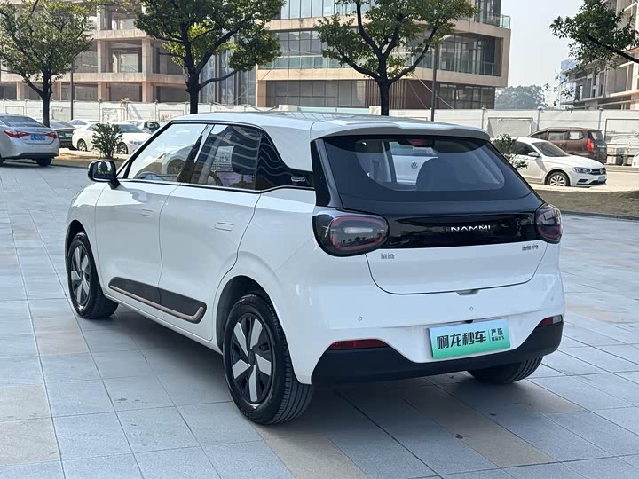 Фото 8 - Dongfeng Nammi 01