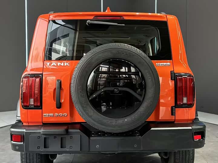 Фото 7 - Tank 300