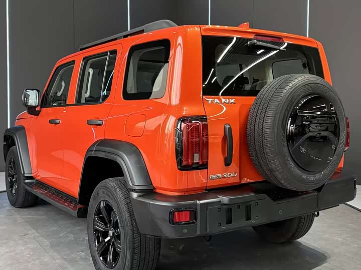 Фото 8 - Tank 300