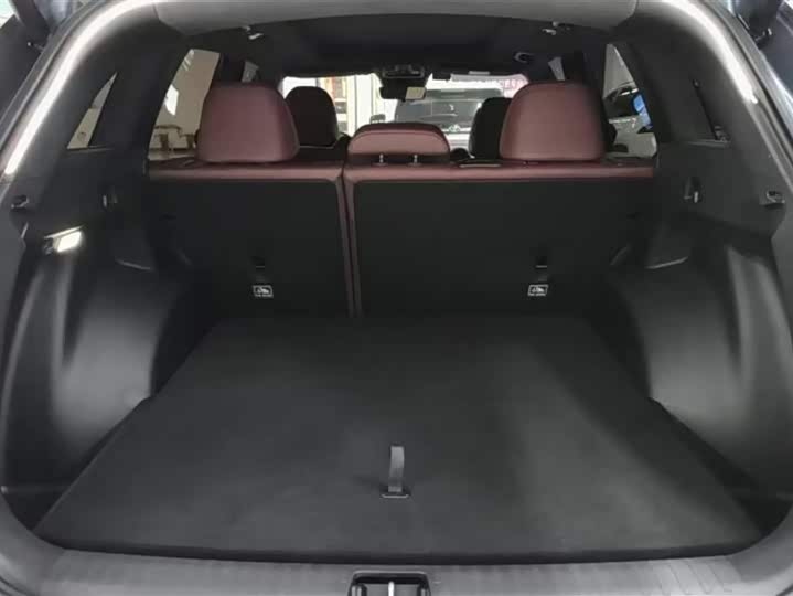 Фото 4 - Geely Monjaro