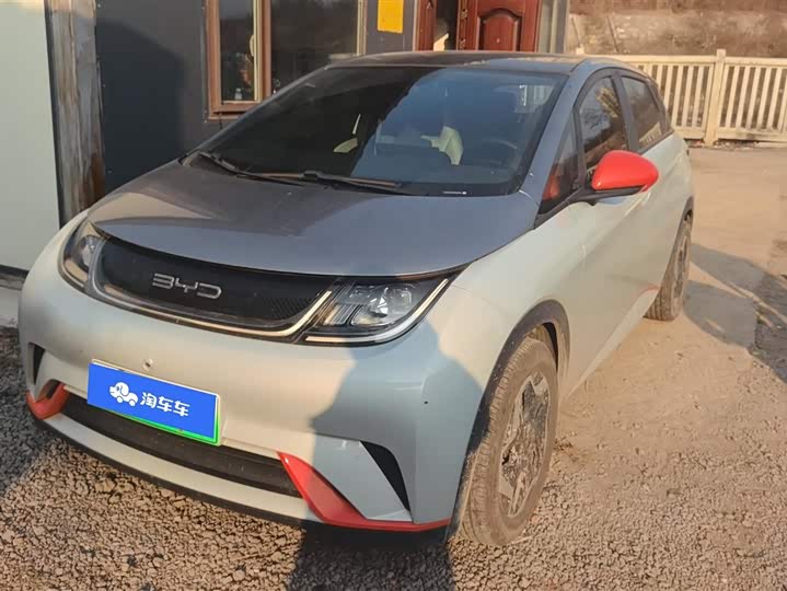 Фото 1 - BYD Dolphin