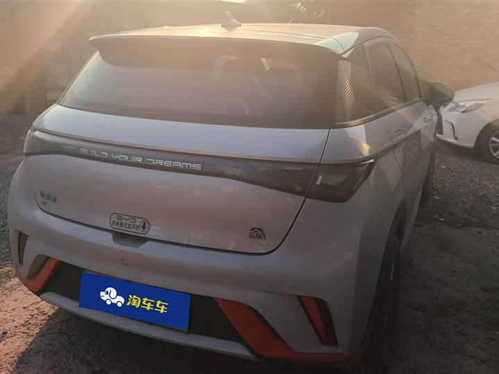 Фото 3 - BYD Dolphin