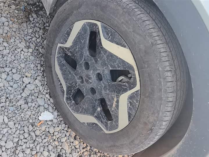 Фото 6 - BYD Dolphin