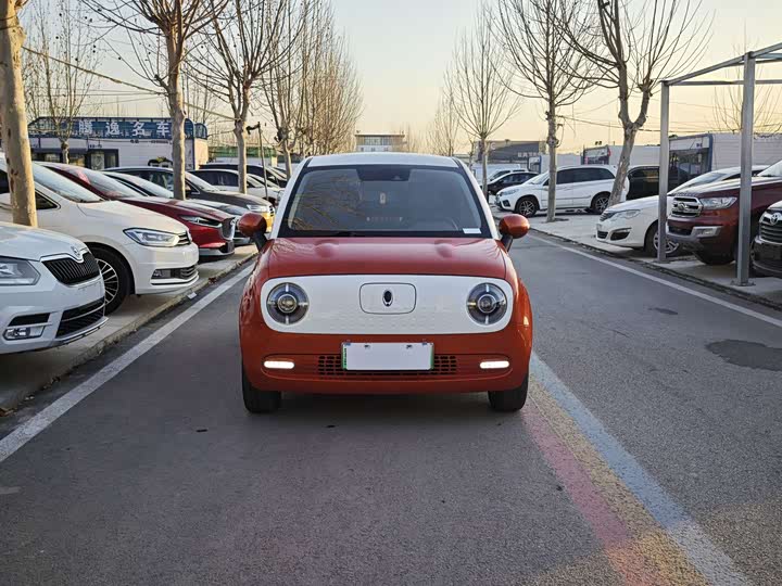 Фото 2 - Ora Black Cat