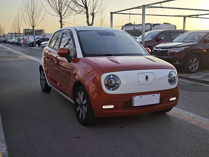 Фото 3 - Ora Black Cat