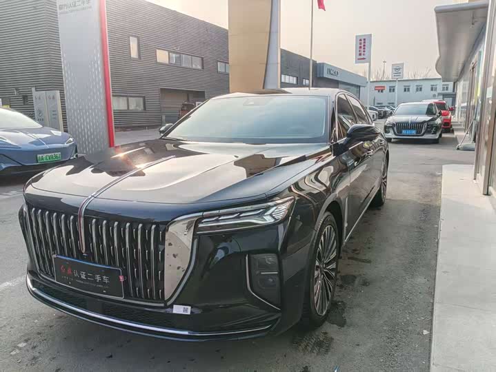 Фото 1 - Hongqi H9