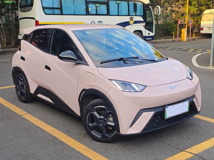 Фото 3 - BYD Seagull