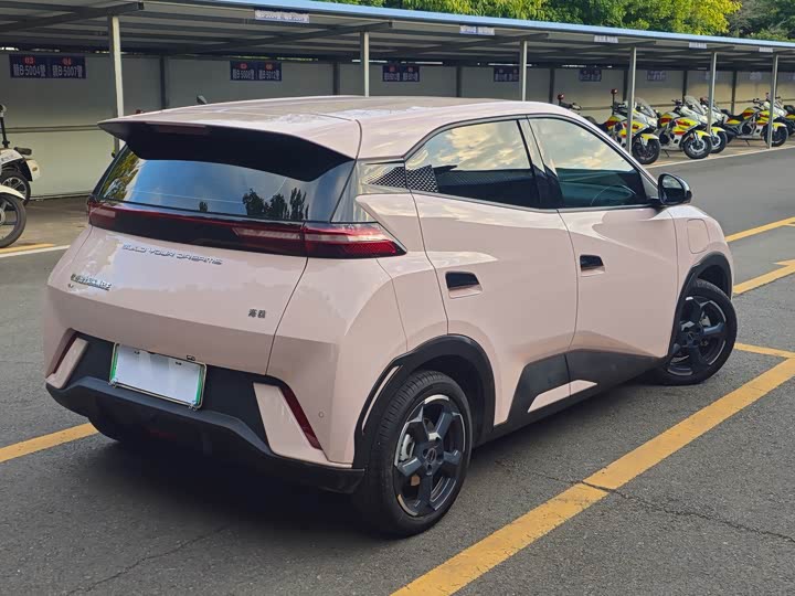 Фото 6 - BYD Seagull