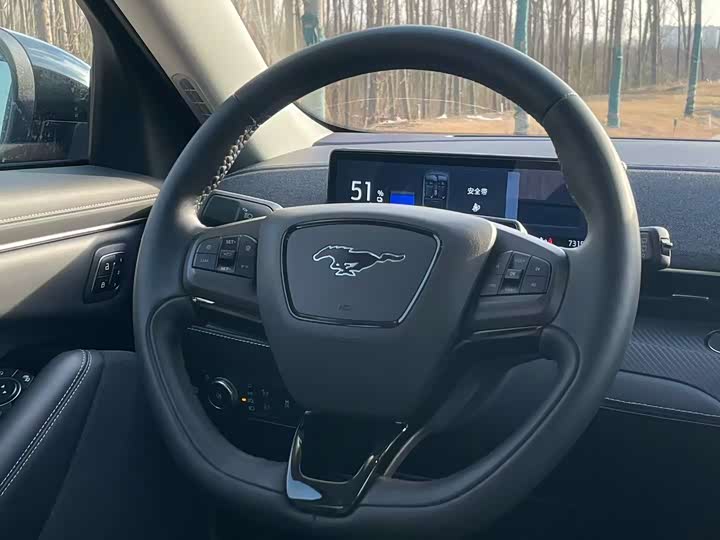 Фото 6 - Ford Mustang Mach-E