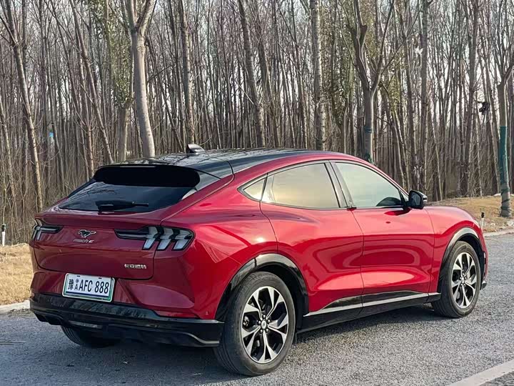 Фото 9 - Ford Mustang Mach-E