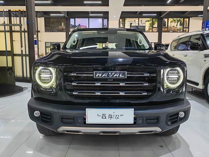 Фото 2 - Haval Dargo