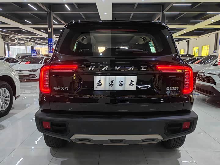 Фото 8 - Haval Dargo