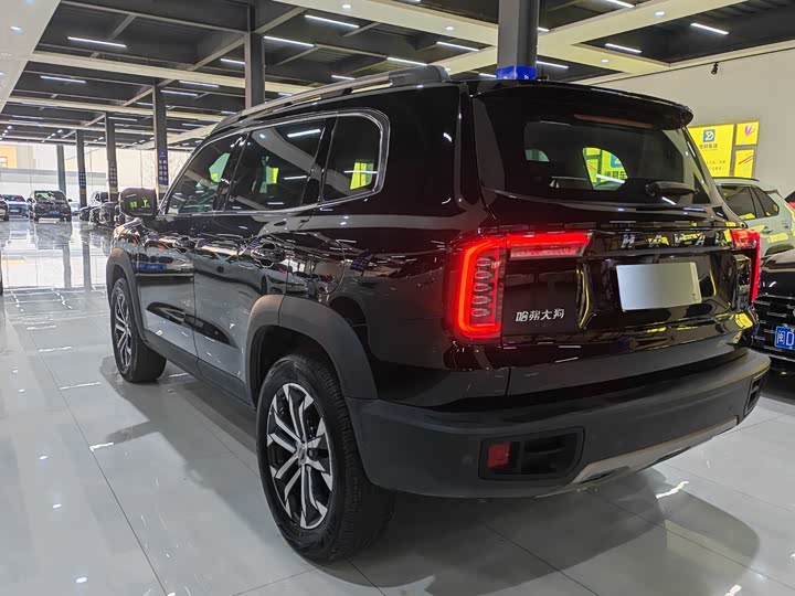 Фото 9 - Haval Dargo