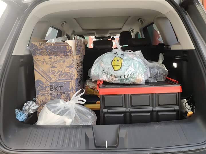 Фото 4 - Haval Dargo