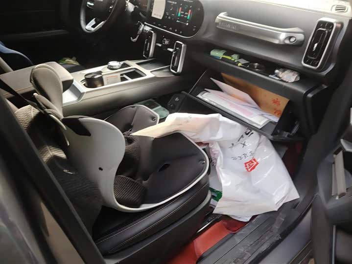 Фото 8 - Haval Dargo