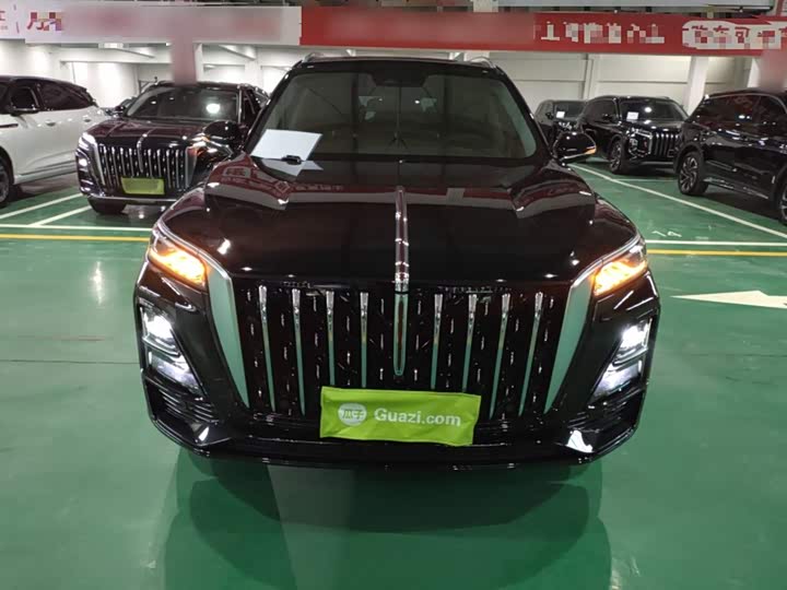Фото 3 - Hongqi HS5