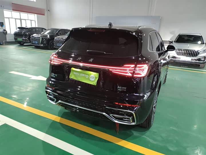 Фото 7 - Hongqi HS5