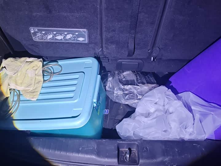 Фото 4 - Honda Elysion