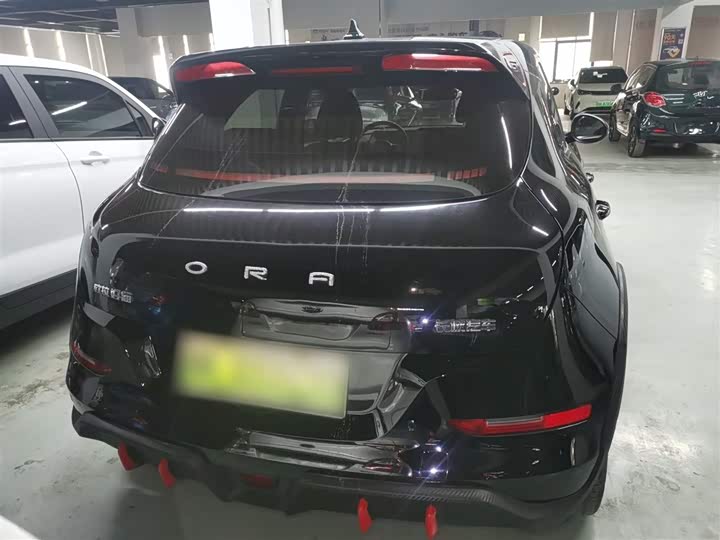 Фото 6 - Ora Good Cat GT (03 GT)