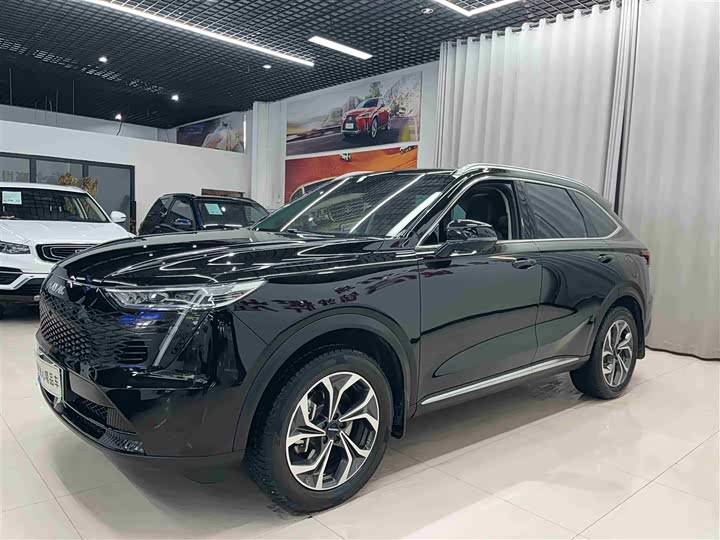 Фото 1 - Haval Ruge Max