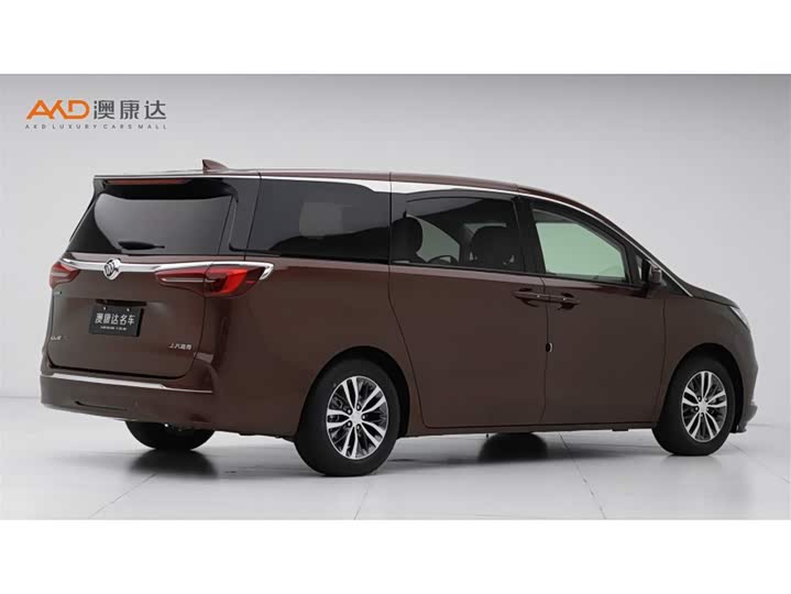 Фото 3 - Buick GL8 ES