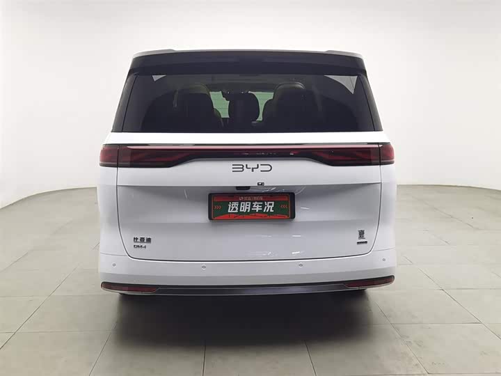 Фото 4 - BYD Xia