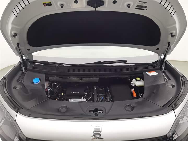 Фото 6 - BYD Xia